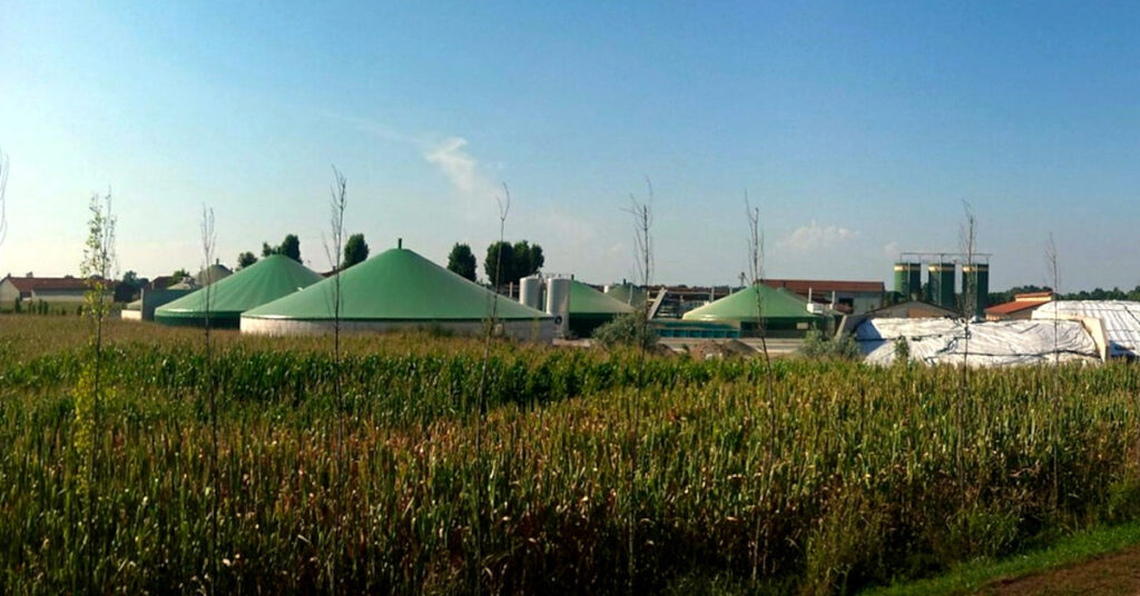 Biogaz Rolniczy